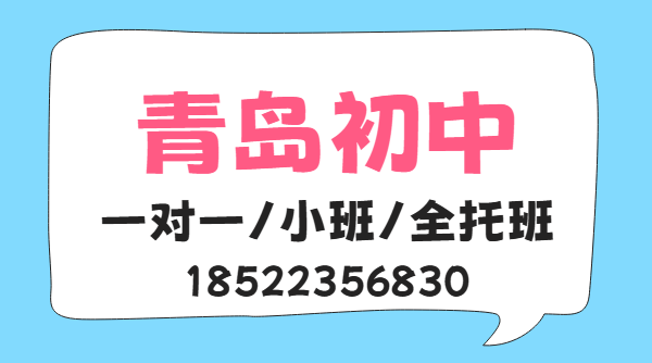 青岛崂山李沧城阳黄岛锐思初一初二初三补课机构哪个好?全托封闭集训一对一小班暑假预科收费(图1) 插画风教育培训类交流分享事业编报名流程小红书封面 (1).png