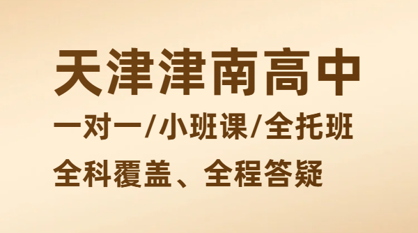 天津津南高一高二高三文化课补课推荐，锐思教育一对一/班课/暑假预科/封闭冲刺/数学物理化学历史政治价格，海教园/咸水沽一