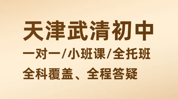 天津武清枫丹天城/大光明/英华国际初一初二初三辅导推荐，锐思教育一对一/小班课/全托班，语文英语物理化学道法收费标准