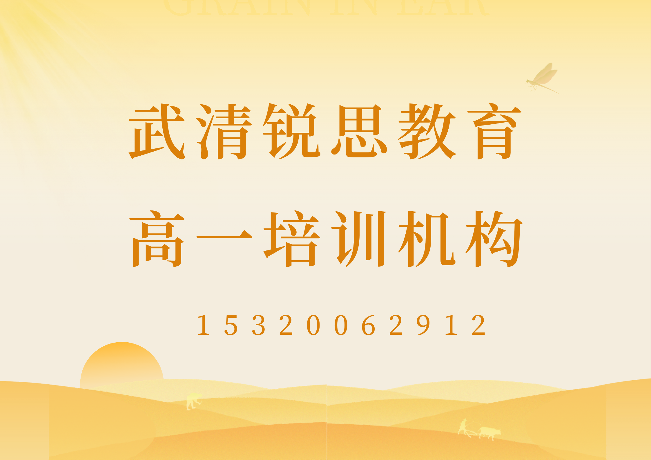 天津武清新高一全科辅导哪家好？锐思教育初升高暑假衔接辅导