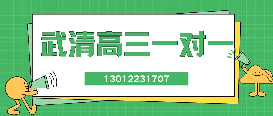武清高三一对一.jpg
