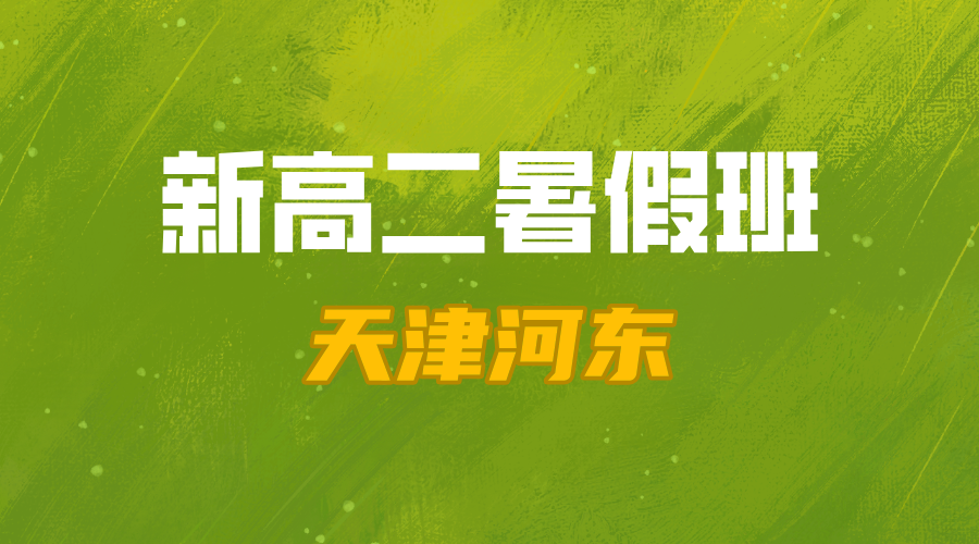 天津河东新高二暑假预科语数外全科辅导 锐思教育准高二一对一小班