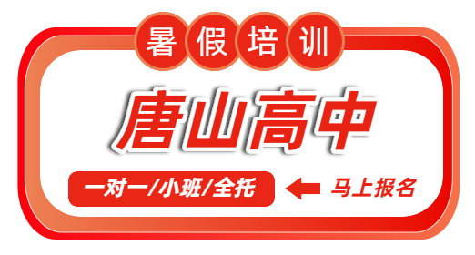 唐山锐思高中暑假培训|一对一/小班/全托初升高、准高三全科预科辅导(图1) 简约插画风红色教育培训类电商胶囊banner (1).png