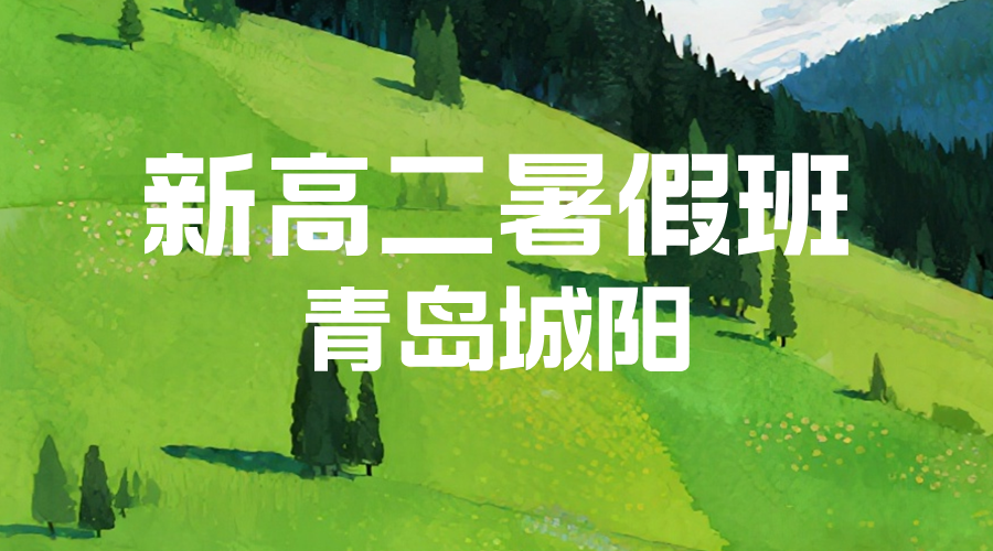 青岛城阳新高二暑假预科衔接班 锐思教育准高二全科辅导名师教学