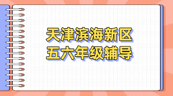 天津滨海新区五六年级辅导哪家好？锐思教育五升六语数英、小升初语数英物理专业辅导