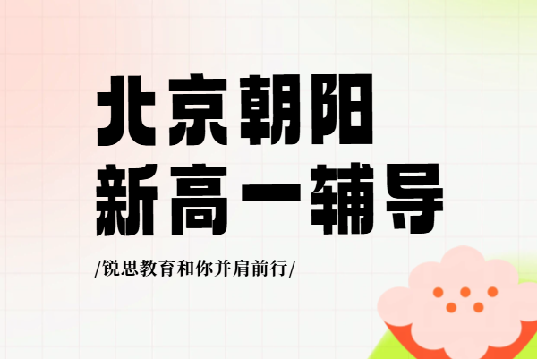 北京朝阳区初升高新高一分班考备考补课老师_锐思教育初升高暑假辅导全攻略