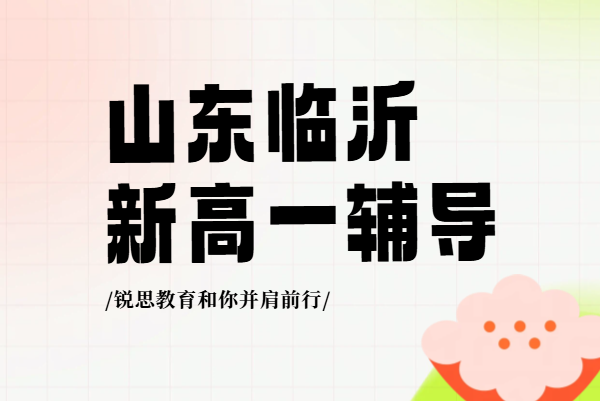 山东临沂初升高学生暑假补习补课新高一预科衔接+开学摸底考_锐思教育初升高暑假预科辅导咨询专线