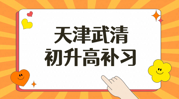 天津武清区初升高基础查漏补缺衔接预科_准高一数理化补基础补差培优_锐思教育