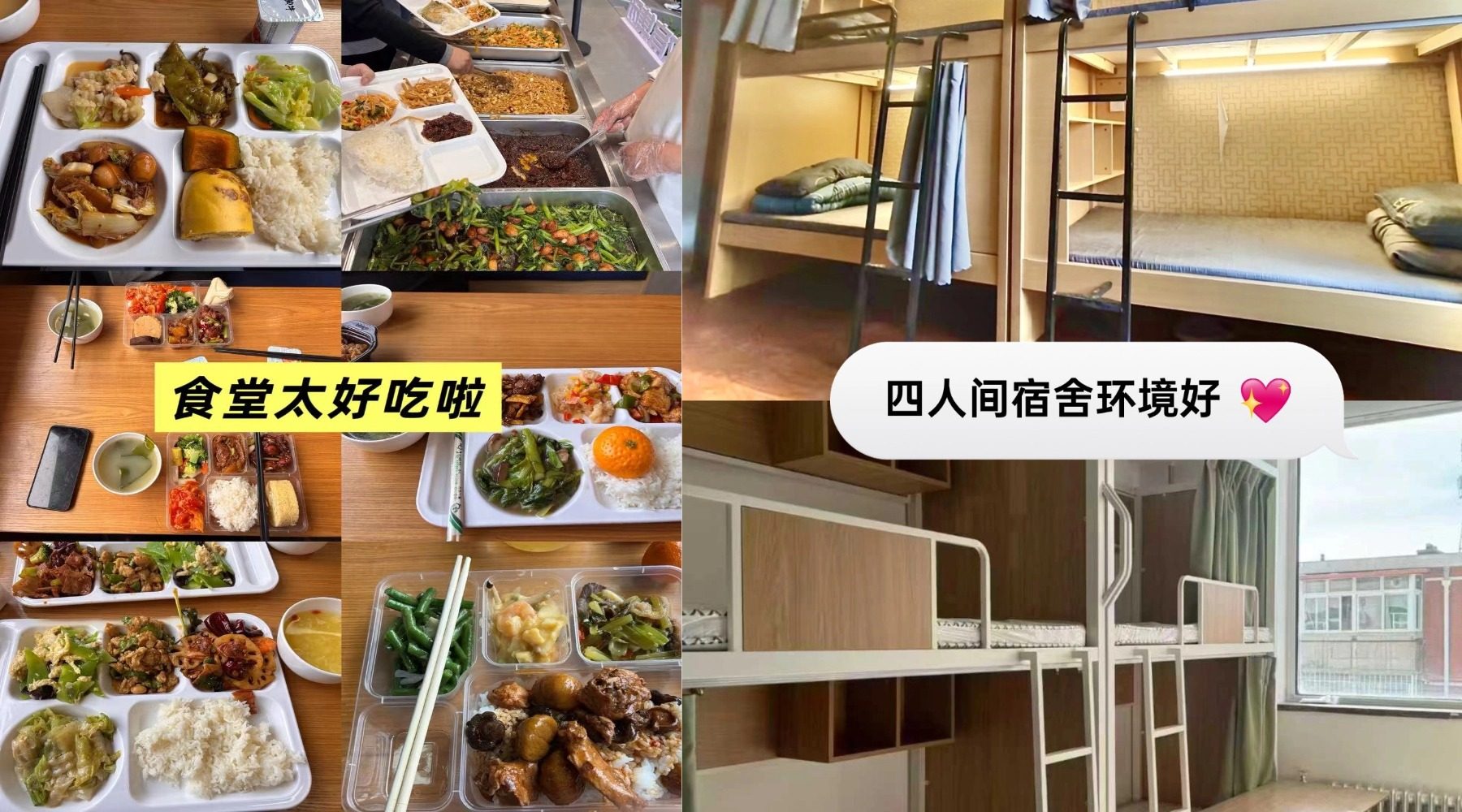 2026 合肥高三全日制集训哪家靠谱?锐思教育分层教学,一站式备战高考首选机构(图3) 0206.jpg