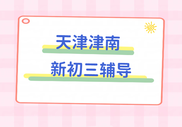 天津津南新初三辅导 九年级补习一对一/3-8人小班/全托冲刺集训全日制 锐思教育地址/价格/联系方式