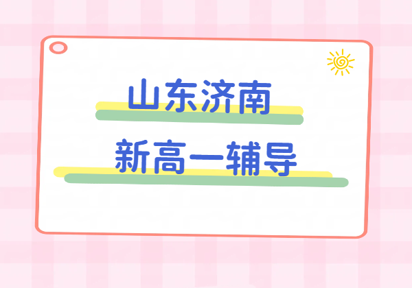 山东济南初升高衔接 新高一预科班 一对一辅导/3-8人小班课/全托集训 锐思教育济南校区地址/收费