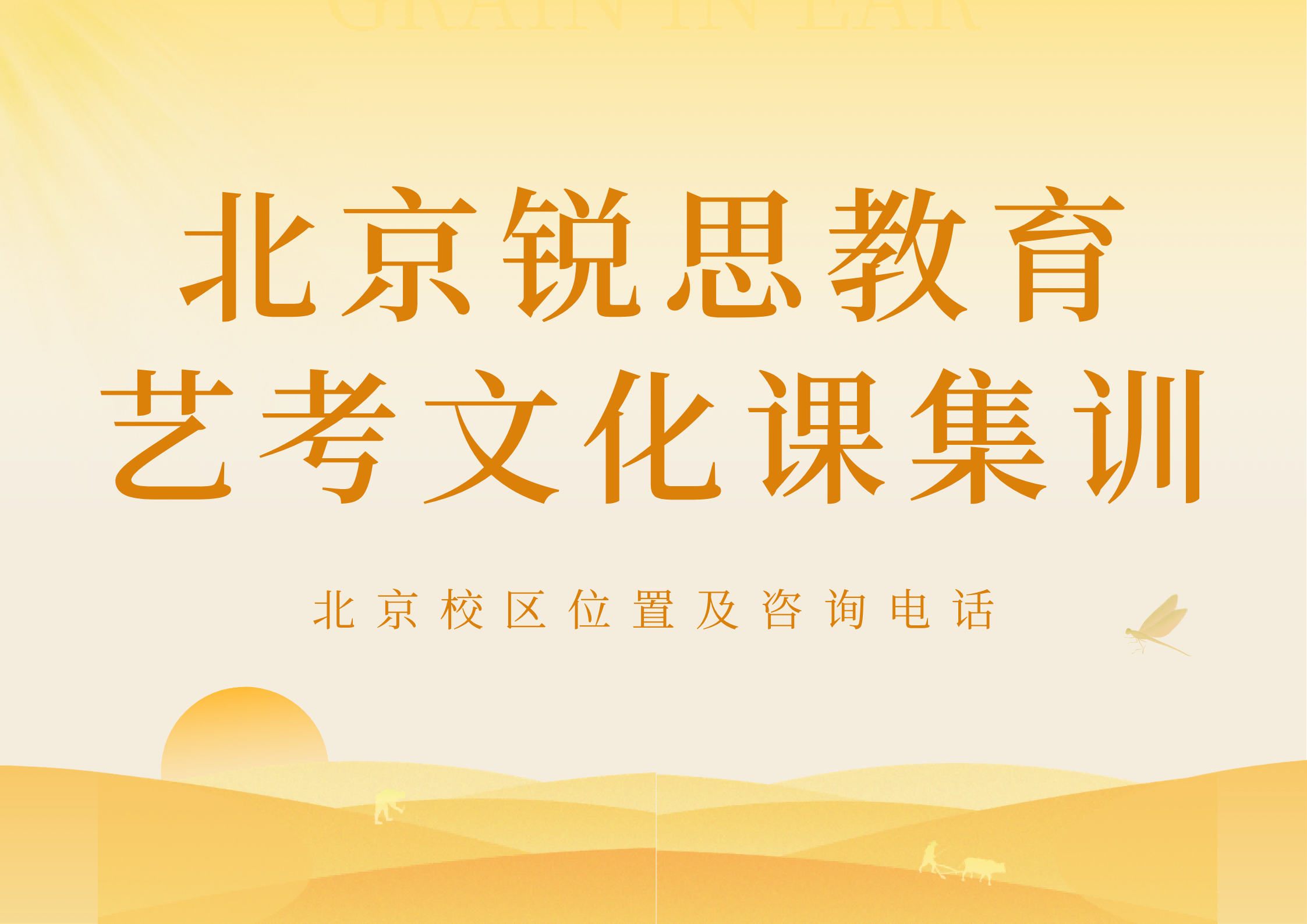北京三帆中学/北京七中/裕中小学/德胜门外二小高三艺考文化课集训机构推荐，锐思教育艺考生文化课一对一冲刺，专属教学计划，