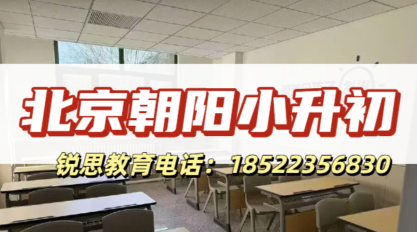 2026北京朝阳小升初分班考难度大?新初一开学全科冲刺辅导|锐思教育咨询电话(图1) 北京朝阳小升初1.png