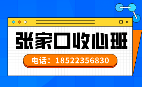 张家口锐思教育收心班.png
