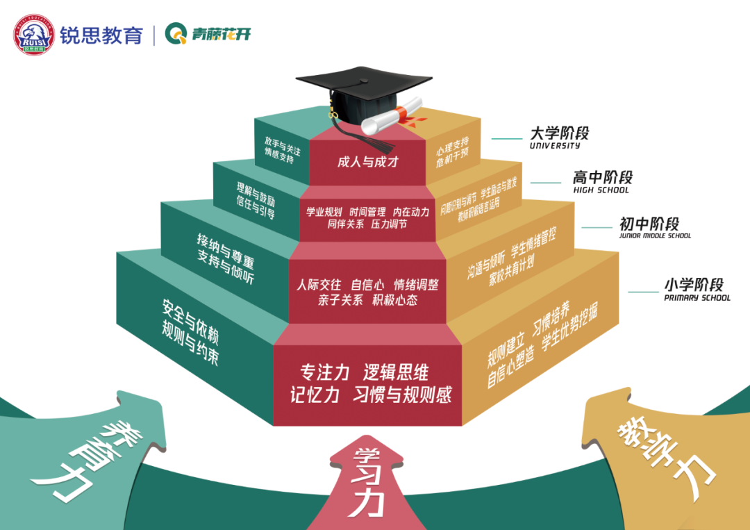 种下一颗种子，静待花开——打造独特的青少年成长计划(图1)