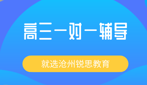 高三一对一辅导哪个好？就选沧州锐思教育！(图1)