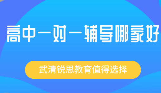 高中一对一辅导哪个机构好？武清锐思教育值得推荐！(图1)