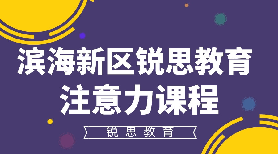 天津滨海锐思教育注意力锻练课程