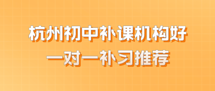 杭州初中补课机构哪个好一点，一对一补习推荐