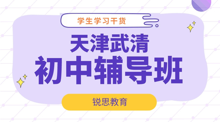 天津武清锐思教育八中初中辅导班_初中全科补习机构